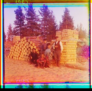 Woodcutters, Svir River, Volga-Baltic Waterway, Russia