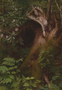 The Squirrel by Seymour Joseph Guy