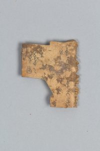 Fragment of Divining Bone (shell)