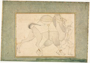 Camel and Groom, Single Page Illustration, c. 1545-1576 by Shaykh Muhammad
