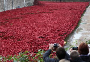 Blood Swept Lands and Seas of Red, Tower of London by Sheldon Marshall