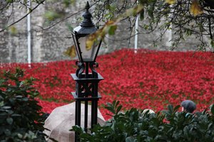 Blood Swept Lands and Seas of Red, Tower of London by Sheldon Marshall