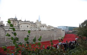 Blood Swept Lands and Seas of Red, Tower of London by Sheldon Marshall