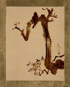 Crow on Tree