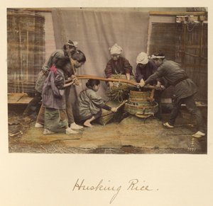 Husking Rice