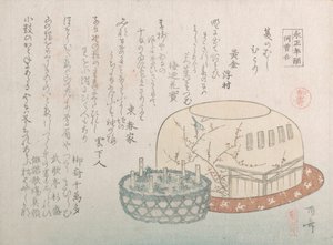 Insect Catcher and Potted Herbs by Shinsai