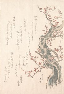 Spring Rain Collection Harusame Shu, Vol. 1: Plum Tree in Bloom