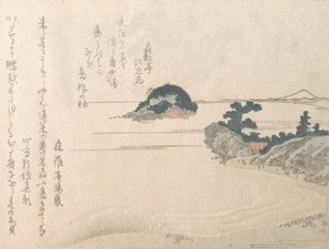 Turtle Island and Fujiyama by Shinsai
