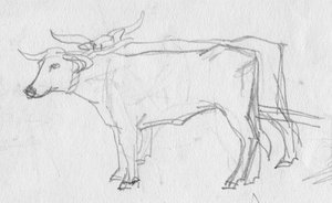 Oxen and Cart