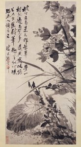 Hibiscus, Lotus, and Rock