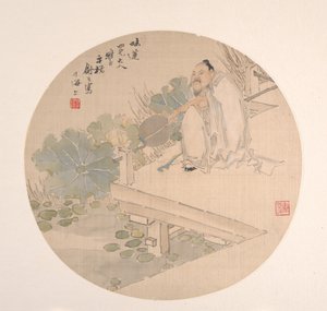 Admiring Lotus
