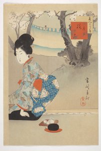 Three Blooming Cherry Trees, from the series 