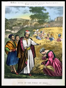 Ruth in the Field of Boaz, from a bible printed by Edward Gover, 1870