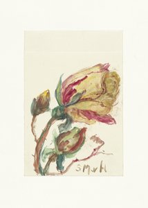 Rose by Sientje Mesdag van Houten