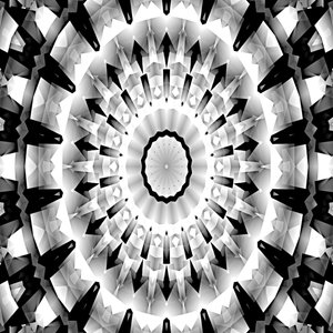 Black and White Symphony by Silvia Martini