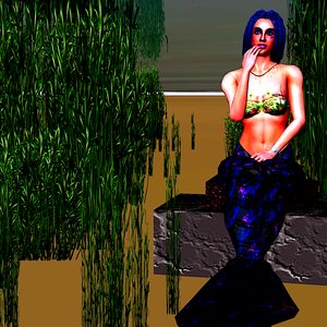 Hidden Nymph: Digital Siren Song by Silvia Martini