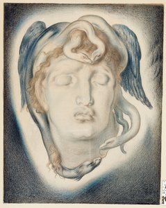 The Head of Medusa, 1884