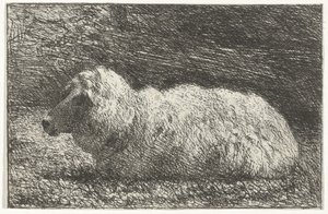 Lying Sheep by Simon Andreas Krausz