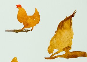 Chickens, One Scratching, 2013