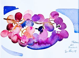 Plateau des Raisins
