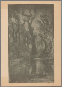 Water in Forest by Simon Moulijn (signed by artist)