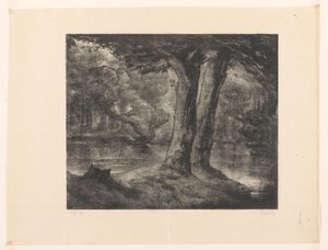 Water in a Forest by Simon Moulijn (signed by artist)