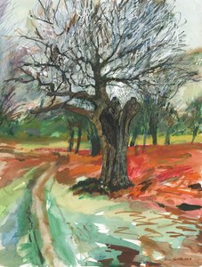 Old tree, Richmond Park