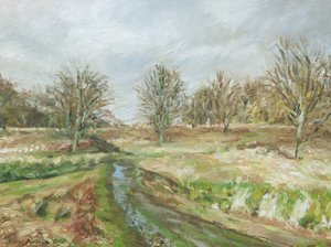 Richmond Park by Simon Neville