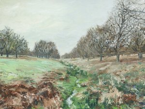 Richmond Park by Simon Neville
