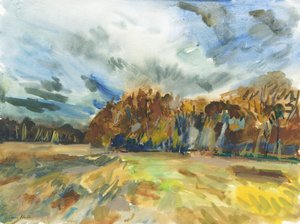 Richmond Park by Simon Neville