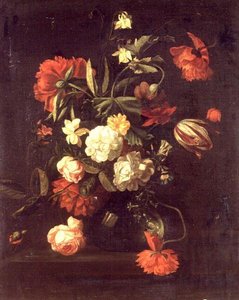 Unknown Image