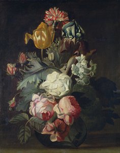 Unknown Image