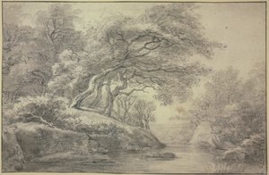 Stream at the edge of the forest by Simon de Vlieger
