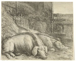 Two Pigs (Various Animals series, Beesjes van de Vlieger series) by Simon de Vlieger