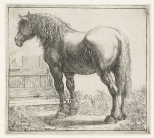 Workhorse by a Fence