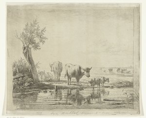 Pastoral Landscape with Cows by Water