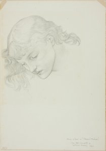 Head, Study for Mirror of Venus