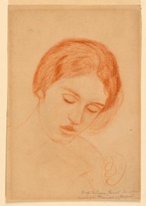 Head of a Woman