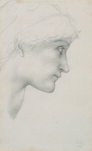 Head by Sir Edward Coley Burne Jones