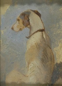 Study of a Greyhound by Sir Edwin Henry Landseer
