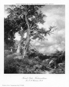 Forest Oaks, Fontainebleau