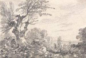 Landscape Composition