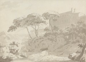 Larici