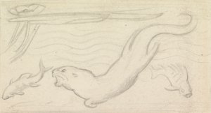 Stained Glass Study, An Otter and Two Fish