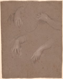 Drawings of Hands by Sir Peter Lely