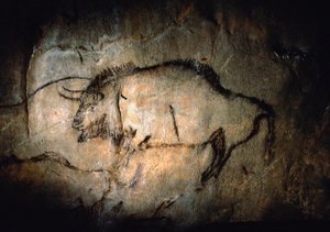 Bison in the Salon Noir of Niaux Cave by Sisse Brimberg
