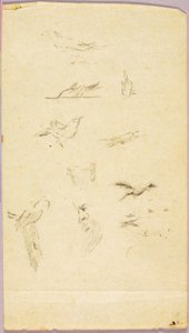 Birds by Solon H. Borglum