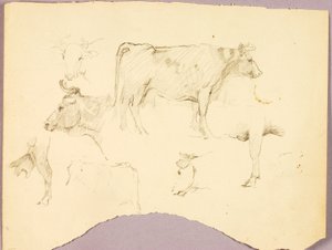 Bulls by Solon H. Borglum