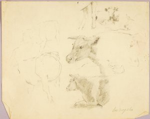 Cows by Solon H. Borglum