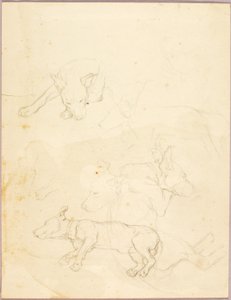 Dogs by Solon H. Borglum